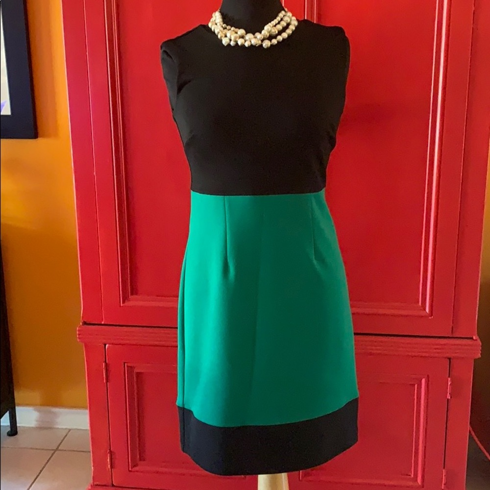 LIKE NEW! BEAUTIFUL, fitted Carole Little dress